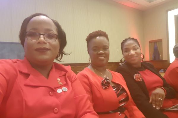 caribbean-nurses-oranization-biennial-conference-1D6B1A045-2656-C4E5-18AC-4CFA46288D61.jpeg